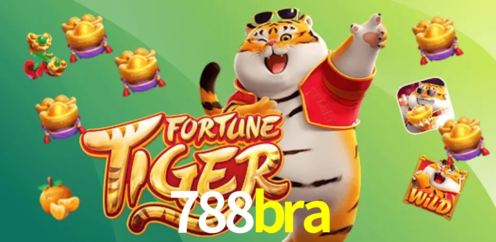 Experiência VIP 788bra